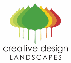 Cdl Logo Vector 2019