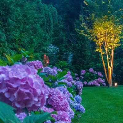 Tree Services Southampton, NY