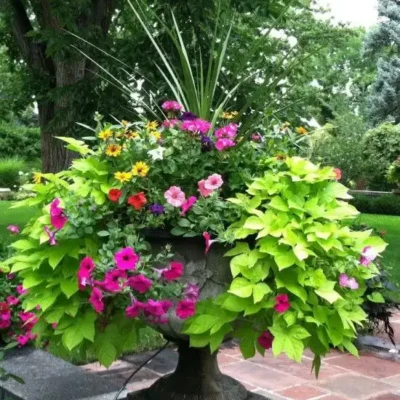 Landscape Maintenance East Hampton, NY