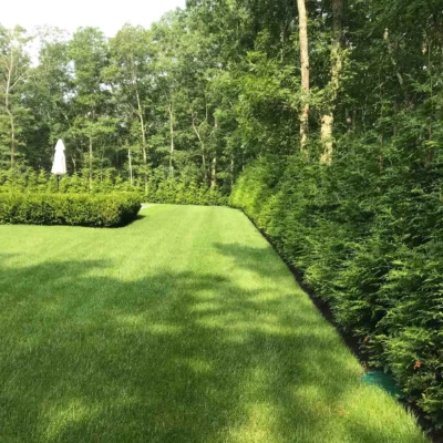Southampton, NY Landscape Maintenance Company