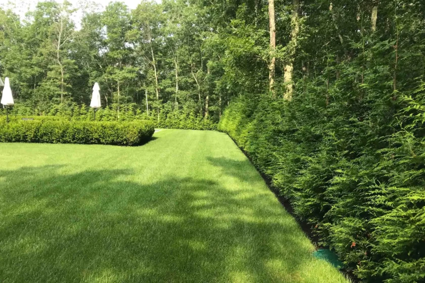Southampton, NY Landscape Maintenance Company