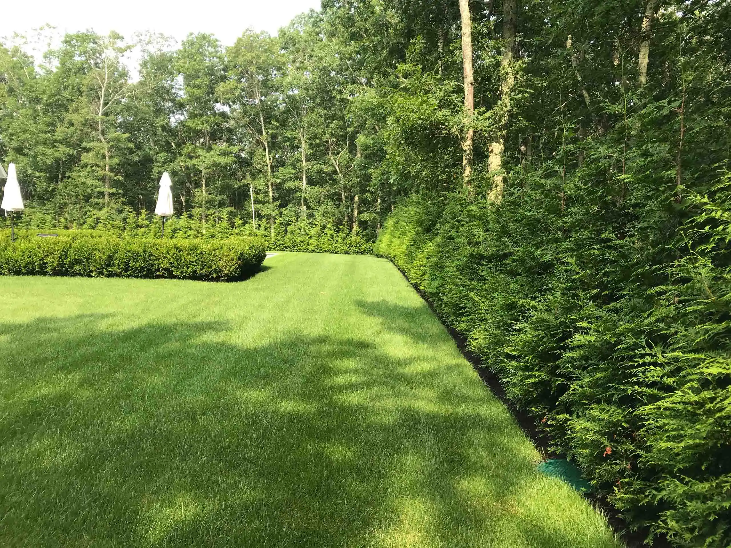Southampton, NY Landscape Maintenance Company