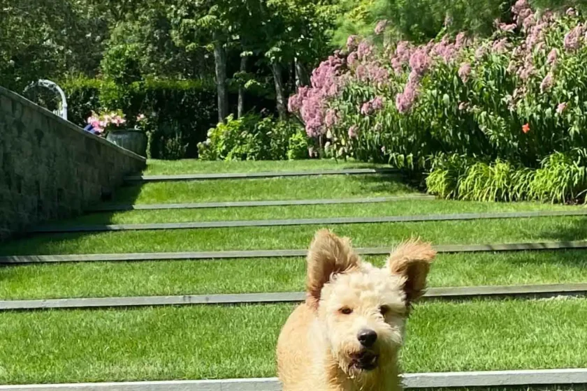 Southampton, NY Landscape Maintenance Company