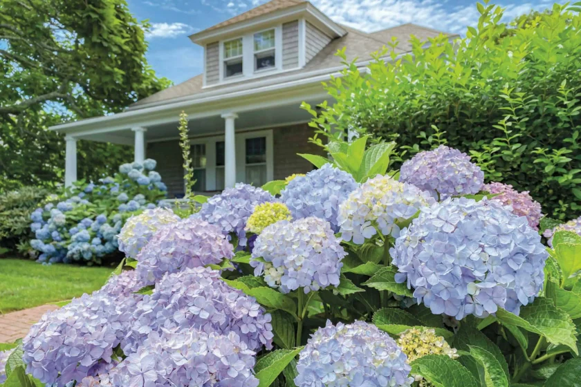 Southampton, NY Landscaping Companies