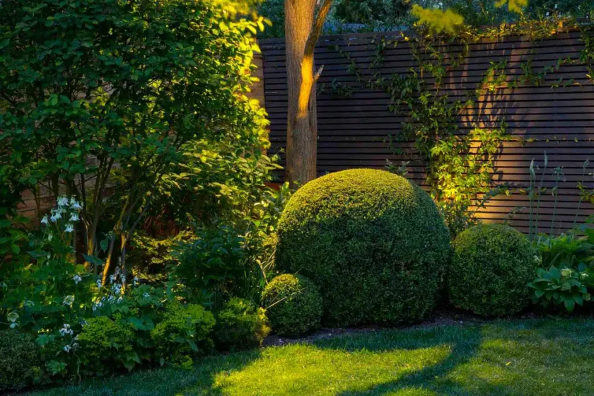Landscape Lighting Southampton, NY