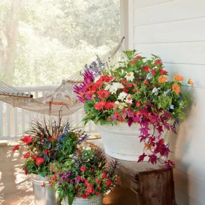 Southampton, NY Landscaping Services Companies