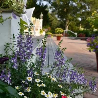 East Hampton, NY Landscaping Services