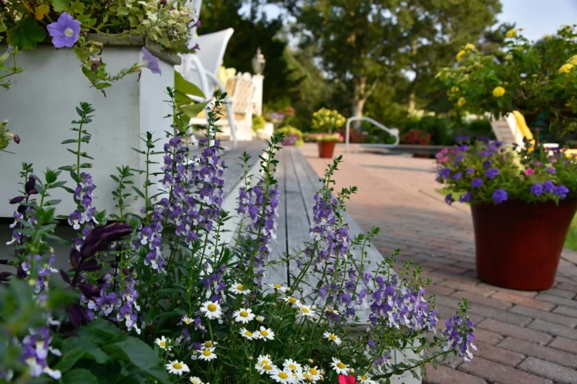 East Hampton, NY Landscaping Services