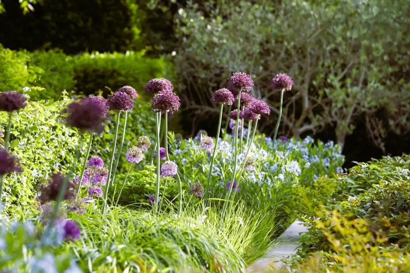 Southampton, NY Landscape Design