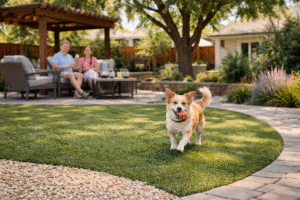 stress free, happy dog landscape