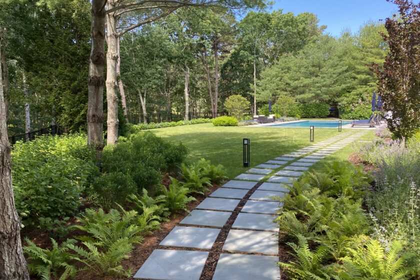 revegetation native plants long island