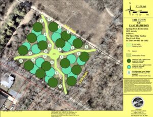 easthampton reveg plot