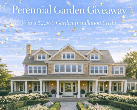 enter for a chance to win perennial garden install creative design landscapes