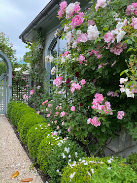 rose planting, traditional hamptons beautiful garden