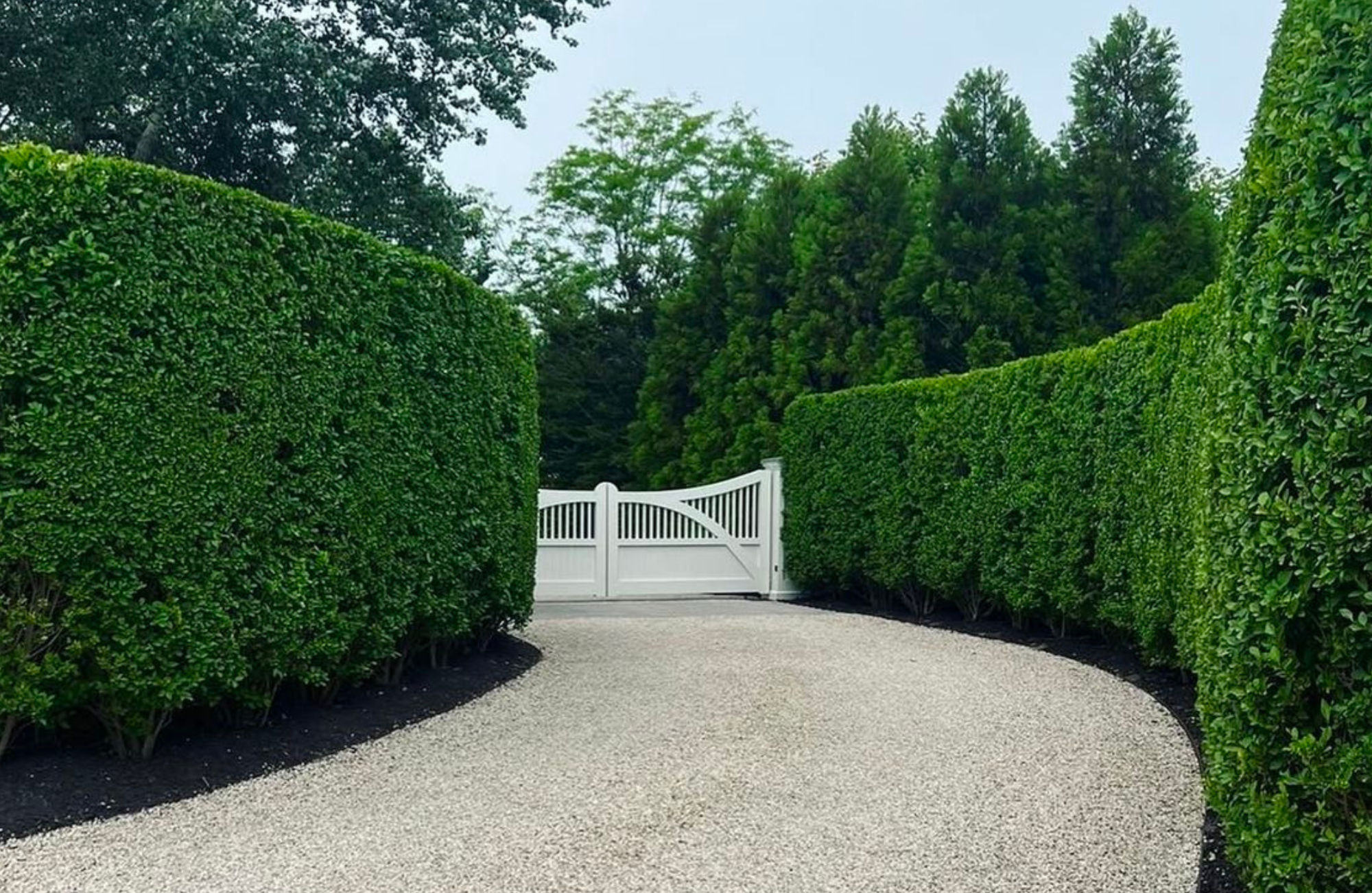 Hamptons poolscape, landscape design, lush green, healthy trees and plants, maintained landscape construction. boxwoods, native plantings, southampton, easthampton, sag harbor, Sagaponack, NY Landscape Design