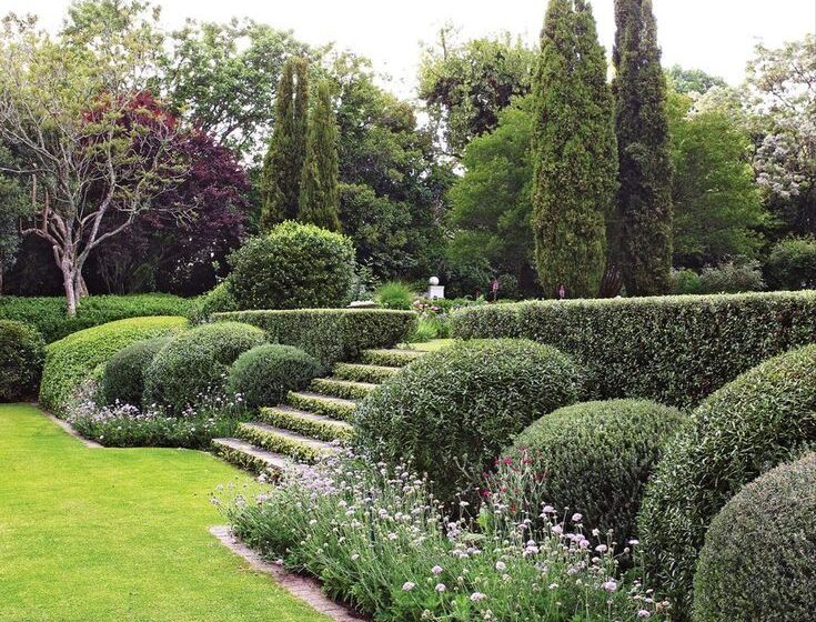 landscape design boxwoods green giants hamptons