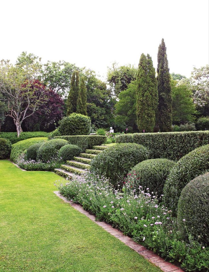 landscape design boxwoods green giants hamptons