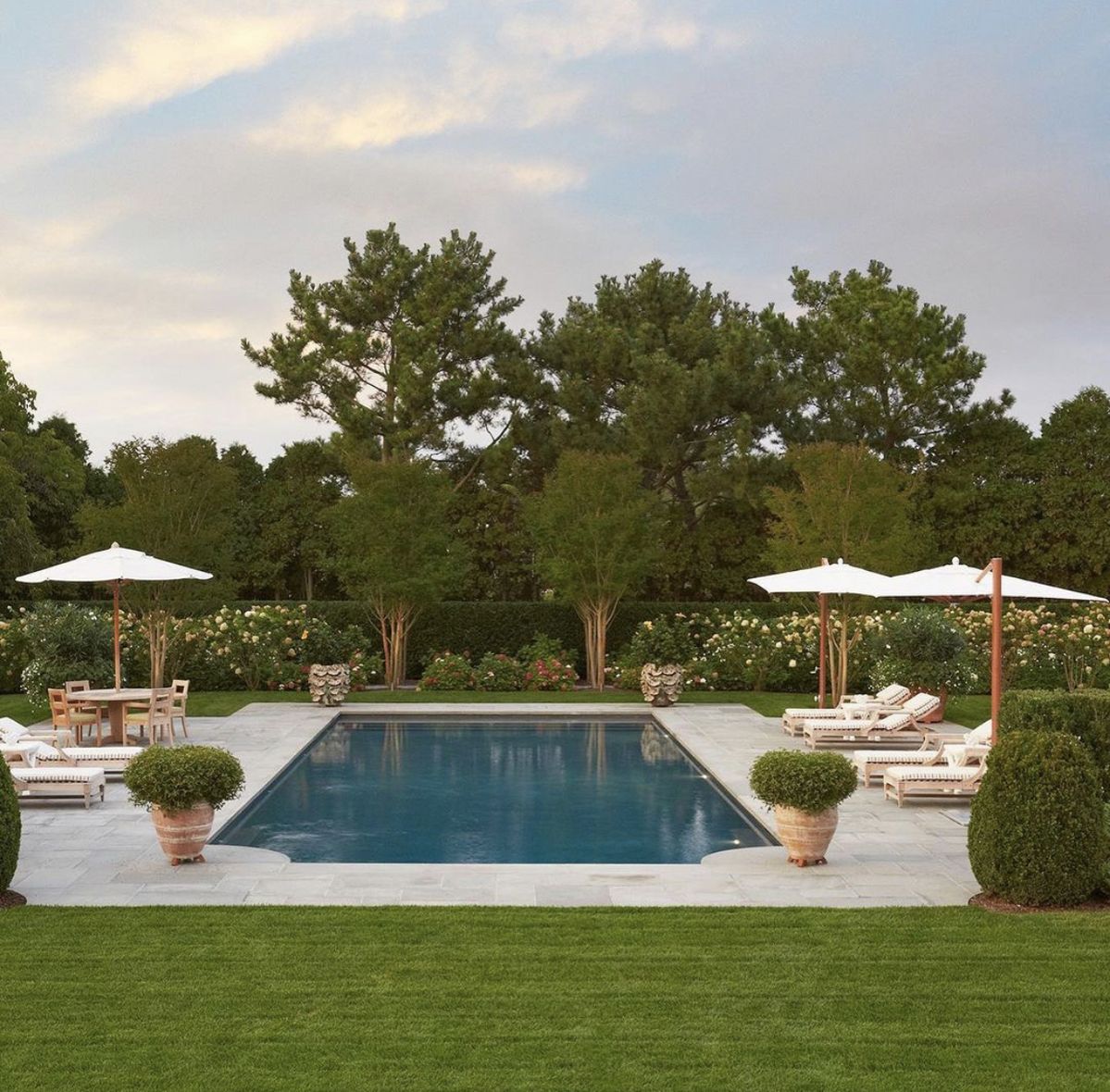 Hamptons poolscape, boxwoods, native plantings, southampton, easthampton, sag harbor, watermill