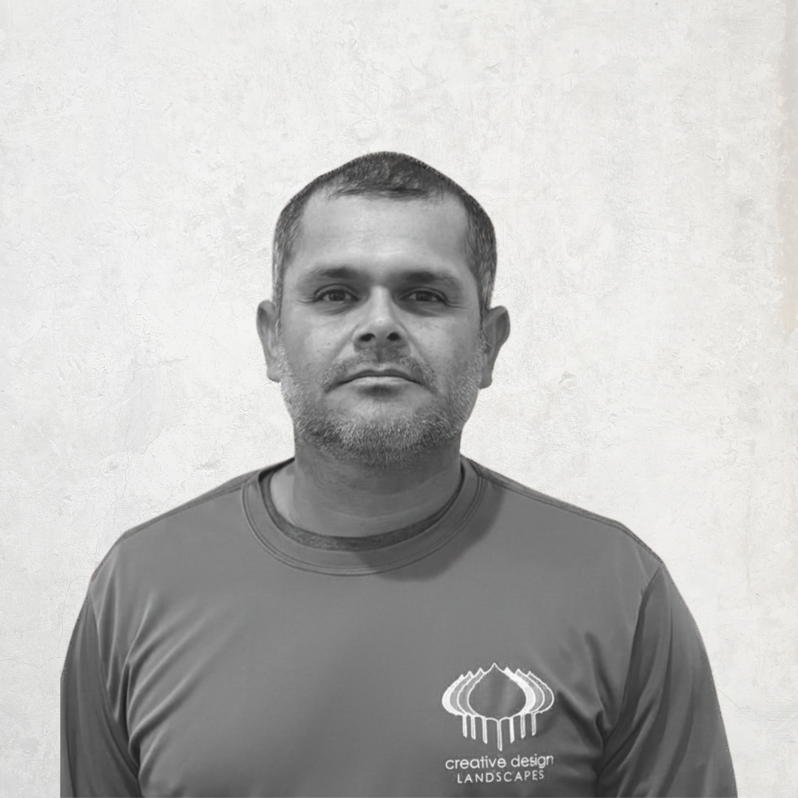 LANDSCAPE DETAILS, CREATIVE TOUCH, LANDSCAPE LIGHTING, SCREENING TREES IN THE HAMPTONS, SECURITY SERVICES, LIGHTING SERVICES, LANDSCAPE SERVICES. EASTHAMPTON, SOUTHAMPTON, WESTHAMPTON, SAG HARBOR Bridgehampton, NY Amagansett, NY Sag Harbor, NY Westhampton, NY Hampton Bays, NY Montauk, NY Westhampton Beach, NY North Haven,NY. Sagaponack, NY Remsenburg, NY Quogue, NY. landscape design,