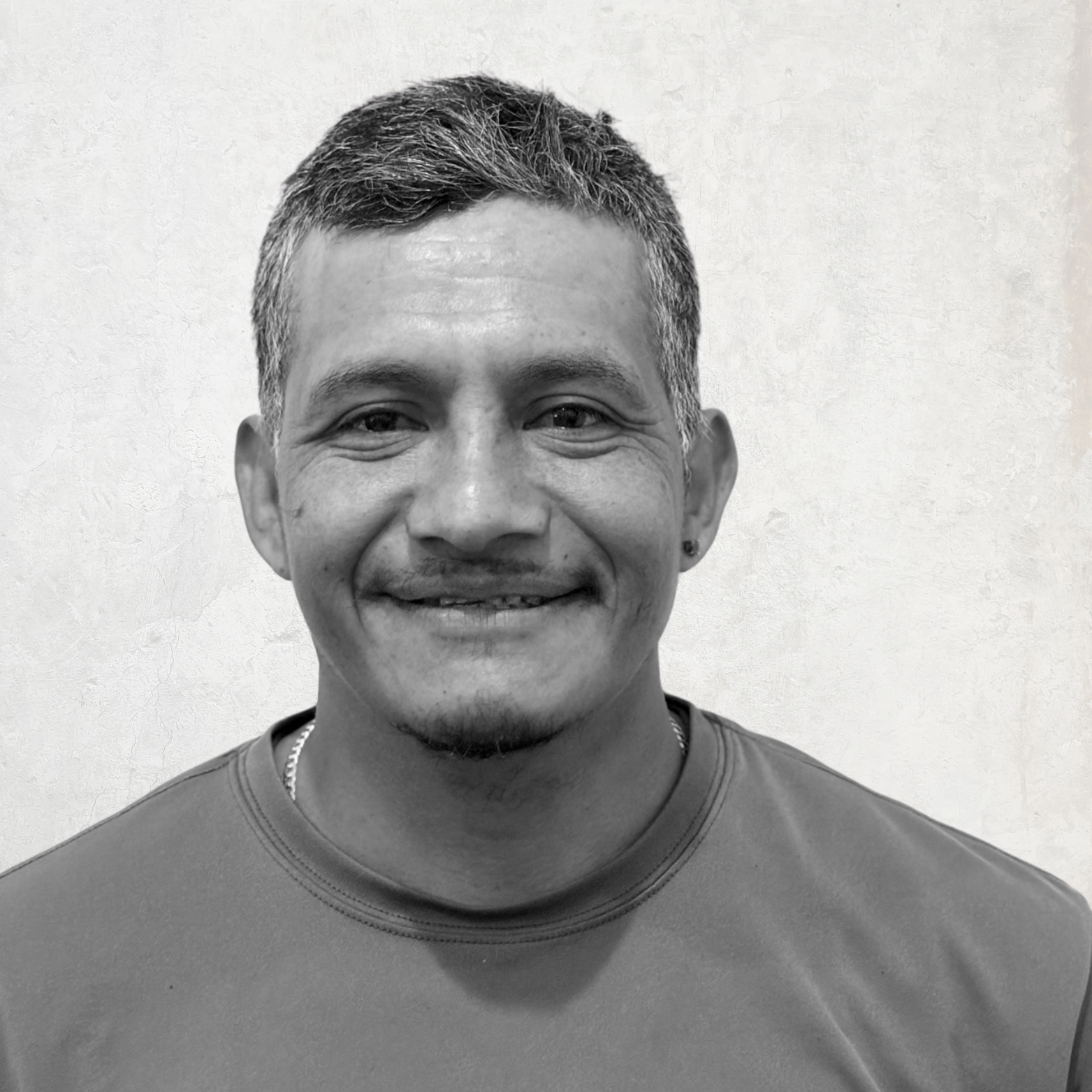 LANDSCAPE DETAILS, CREATIVE TOUCH, LANDSCAPE LIGHTING, SCREENING TREES IN THE HAMPTONS, SECURITY SERVICES, LIGHTING SERVICES, LANDSCAPE SERVICES. EASTHAMPTON, SOUTHAMPTON, WESTHAMPTON, SAG HARBOR Bridgehampton, NY Amagansett, NY Sag Harbor, NY Westhampton, NY Hampton Bays, NY Montauk, NY Westhampton Beach, NY North Haven,NY. Sagaponack, NY Remsenburg, NY Quogue, NY. landscape design,