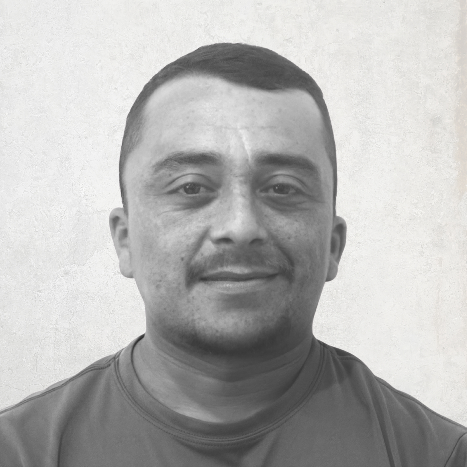 LANDSCAPE DETAILS, CREATIVE TOUCH, LANDSCAPE LIGHTING, SCREENING TREES IN THE HAMPTONS, SECURITY SERVICES, LIGHTING SERVICES, LANDSCAPE SERVICES. EASTHAMPTON, SOUTHAMPTON, WESTHAMPTON, SAG HARBOR Bridgehampton, NY Amagansett, NY Sag Harbor, NY Westhampton, NY Hampton Bays, NY Montauk, NY Westhampton Beach, NY North Haven,NY. Sagaponack, NY Remsenburg, NY Quogue, NY. landscape design,