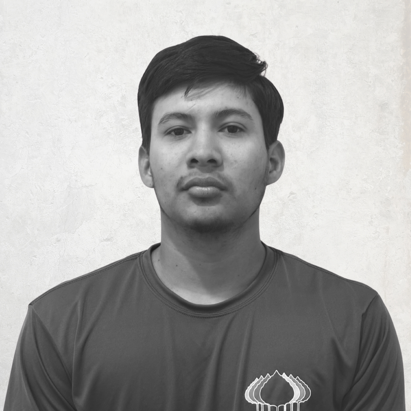 LANDSCAPE DETAILS, CREATIVE TOUCH, LANDSCAPE LIGHTING, SCREENING TREES IN THE HAMPTONS, SECURITY SERVICES, LIGHTING SERVICES, LANDSCAPE SERVICES. EASTHAMPTON, SOUTHAMPTON, WESTHAMPTON, SAG HARBOR Bridgehampton, NY Amagansett, NY Sag Harbor, NY Westhampton, NY Hampton Bays, NY Montauk, NY Westhampton Beach, NY North Haven,NY. Sagaponack, NY Remsenburg, NY Quogue, NY. landscape design,