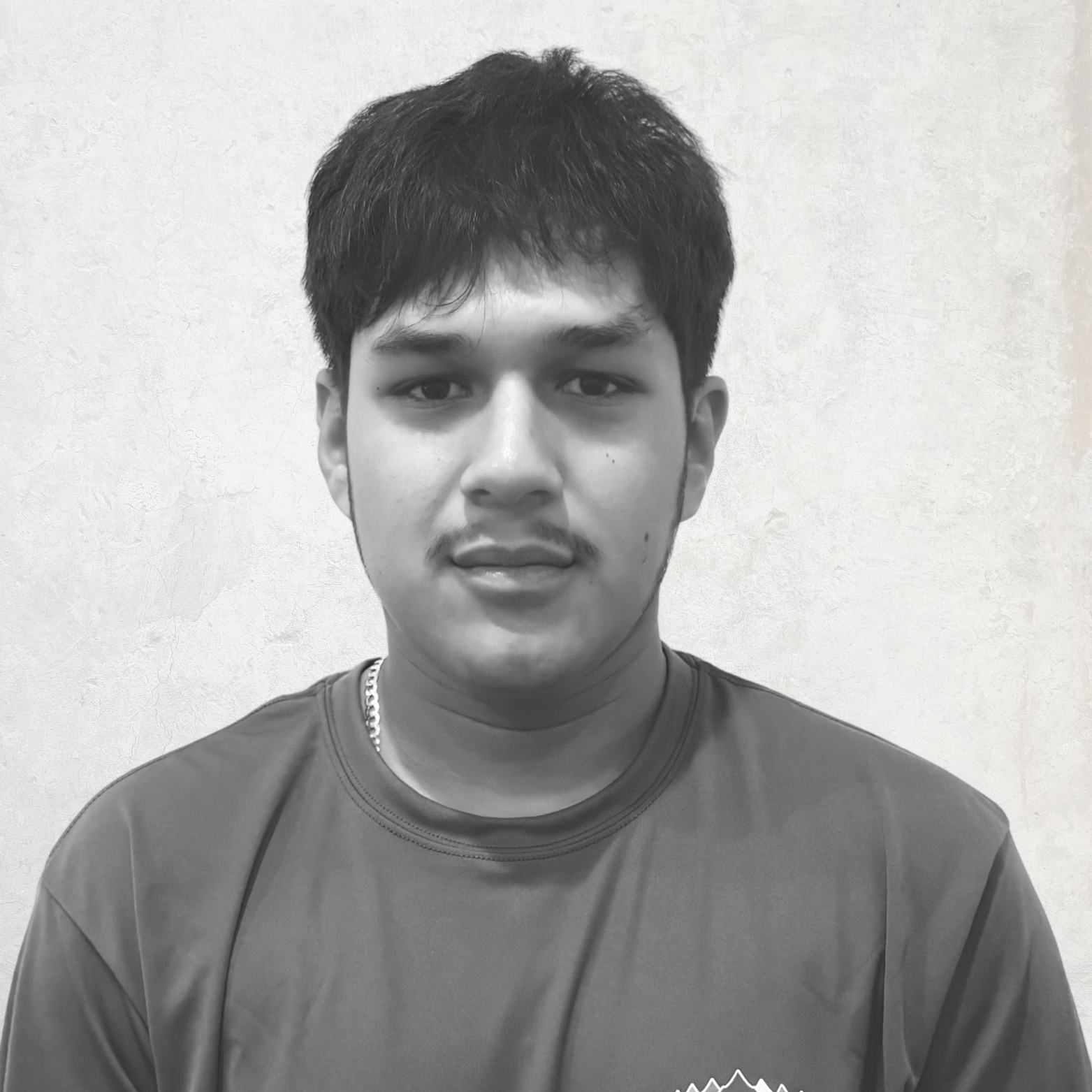 LANDSCAPE DETAILS, CREATIVE TOUCH, LANDSCAPE LIGHTING, SCREENING TREES IN THE HAMPTONS, SECURITY SERVICES, LIGHTING SERVICES, LANDSCAPE SERVICES. EASTHAMPTON, SOUTHAMPTON, WESTHAMPTON, SAG HARBOR Bridgehampton, NY Amagansett, NY Sag Harbor, NY Westhampton, NY Hampton Bays, NY Montauk, NY Westhampton Beach, NY North Haven,NY. Sagaponack, NY Remsenburg, NY Quogue, NY. landscape design,