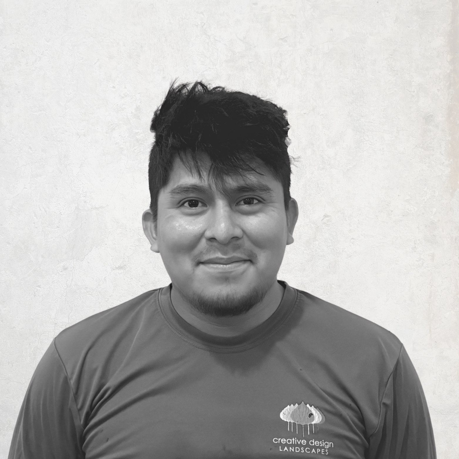 LANDSCAPE DETAILS, CREATIVE TOUCH, LANDSCAPE LIGHTING, SCREENING TREES IN THE HAMPTONS, SECURITY SERVICES, LIGHTING SERVICES, LANDSCAPE SERVICES. EASTHAMPTON, SOUTHAMPTON, WESTHAMPTON, SAG HARBOR Bridgehampton, NY Amagansett, NY Sag Harbor, NY Westhampton, NY Hampton Bays, NY Montauk, NY Westhampton Beach, NY North Haven,NY. Sagaponack, NY Remsenburg, NY Quogue, NY. landscape design,