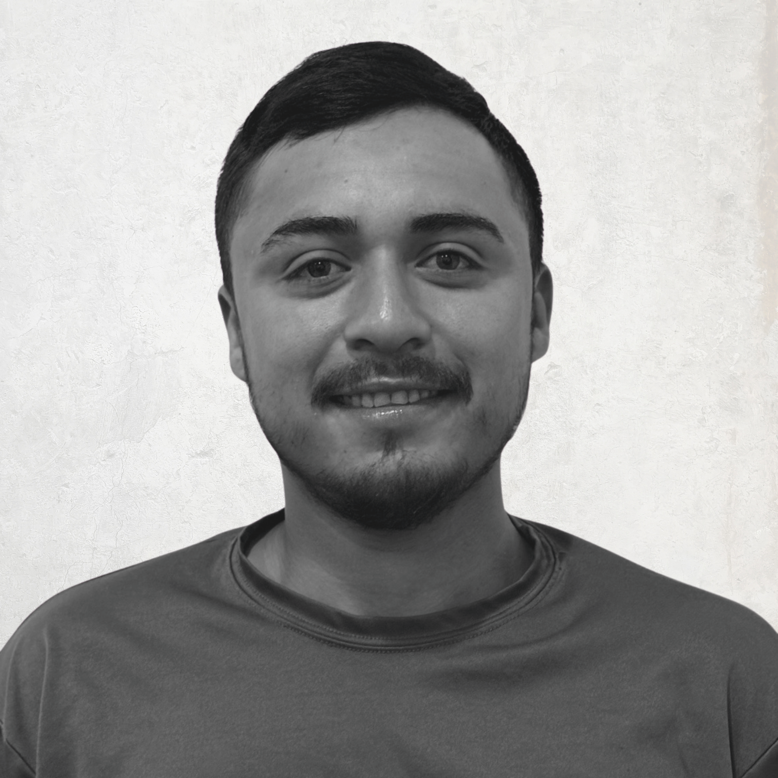 LANDSCAPE DETAILS, CREATIVE TOUCH, LANDSCAPE LIGHTING, SCREENING TREES IN THE HAMPTONS, SECURITY SERVICES, LIGHTING SERVICES, LANDSCAPE SERVICES. EASTHAMPTON, SOUTHAMPTON, WESTHAMPTON, SAG HARBOR Bridgehampton, NY Amagansett, NY Sag Harbor, NY Westhampton, NY Hampton Bays, NY Montauk, NY Westhampton Beach, NY North Haven,NY. Sagaponack, NY Remsenburg, NY Quogue, NY. landscape design,