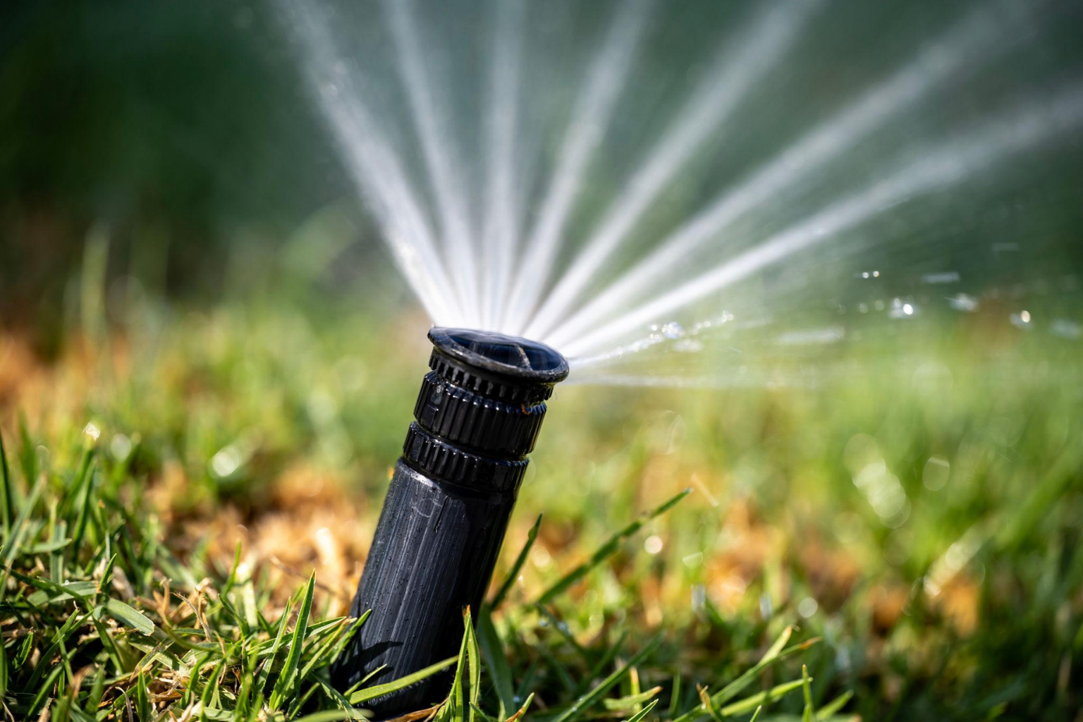 Sprinkler system watering a lawn in Southampton, NY