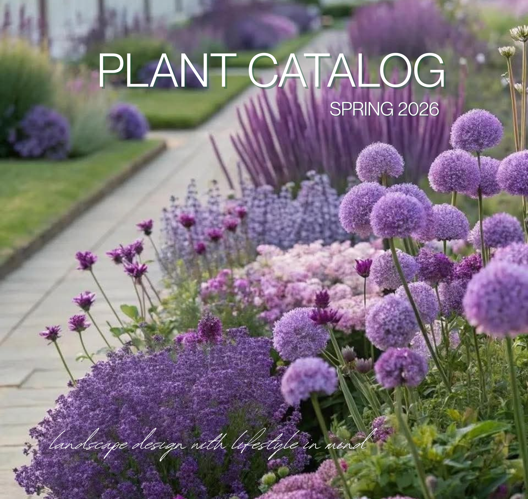Plant Catalog: selecting plants and florals for your hamptons Landscape. nepeta, salvia, allium, perennial garden in the Hamptons