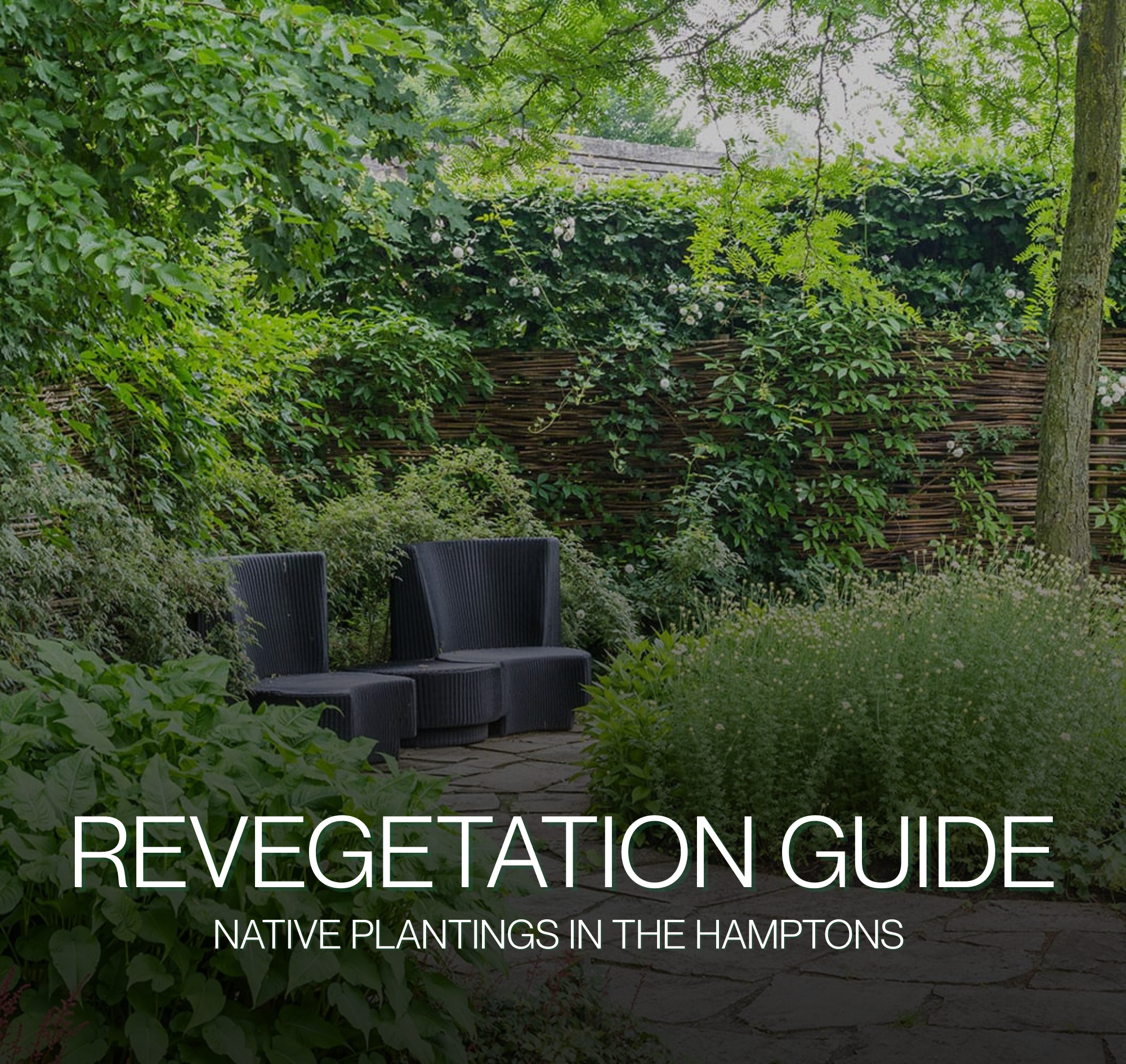 Revegetation planting in the Hamptons featuring native coastal plants, dune grasses, and erosion control landscaping designed for sandy soil, salt air, and sustainable shoreline restoration in East Hampton and Southampton