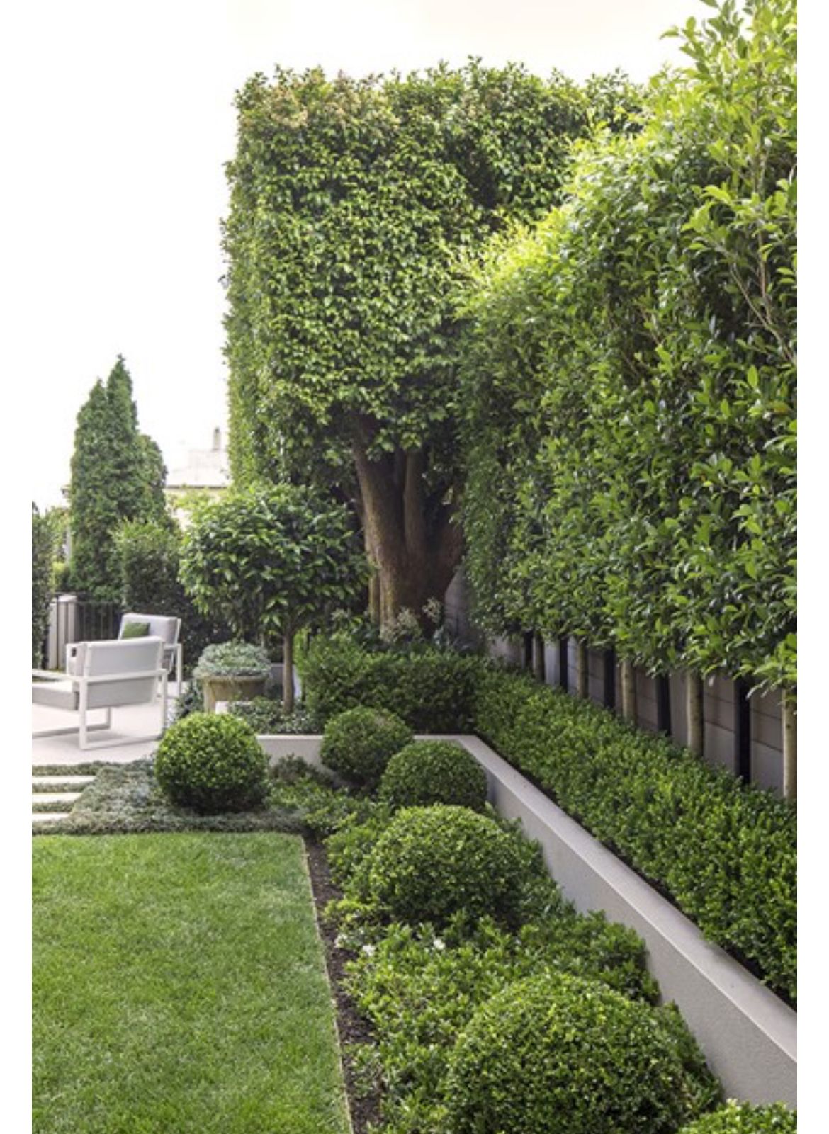 Hamptons, tree shaping, maintenance boxwoods, native plantings, southampton, easthampton, sag harbor,watermill