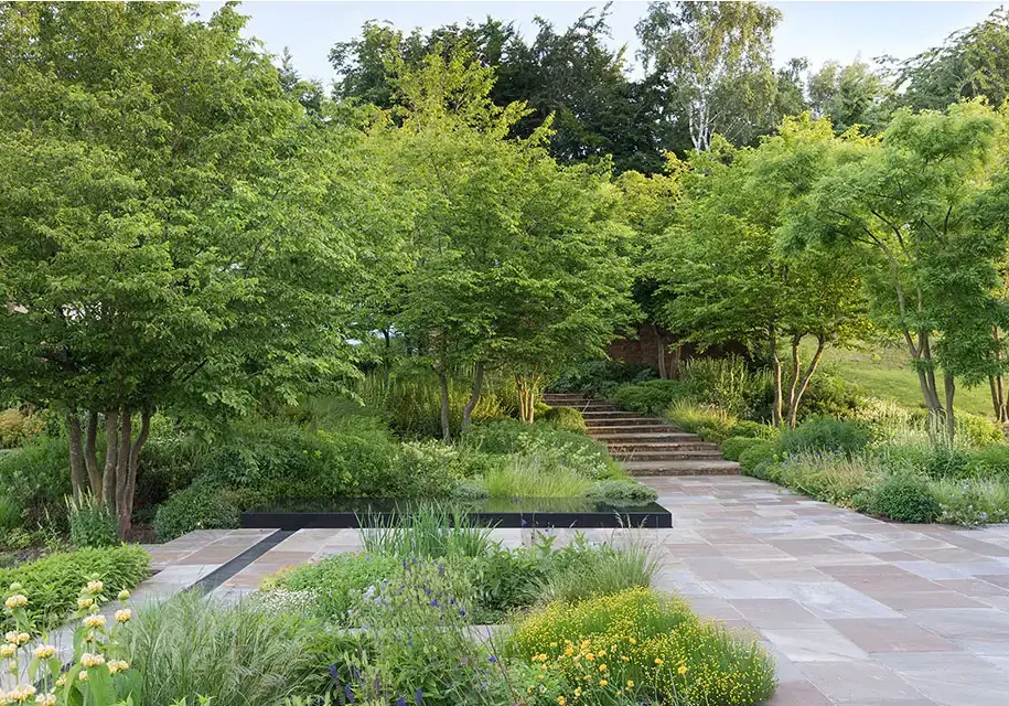Hamptons: boxwoods, native plantings, southampton, easthampton, sag harbor,watermill. tree services, tree install, tree care