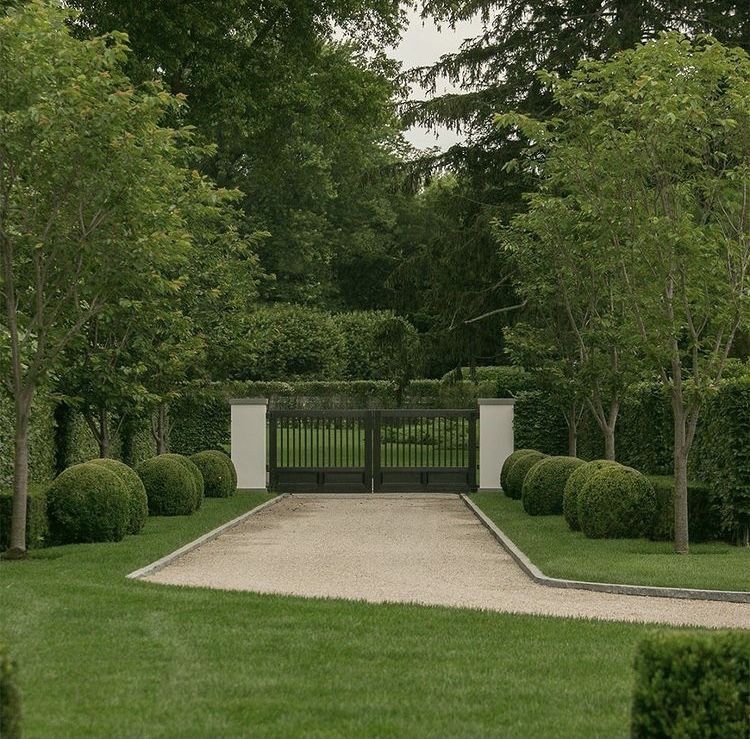 Hamptons, tree shaping, maintenance boxwoods, native plantings, southampton, easthampton, sag harbor,watermill