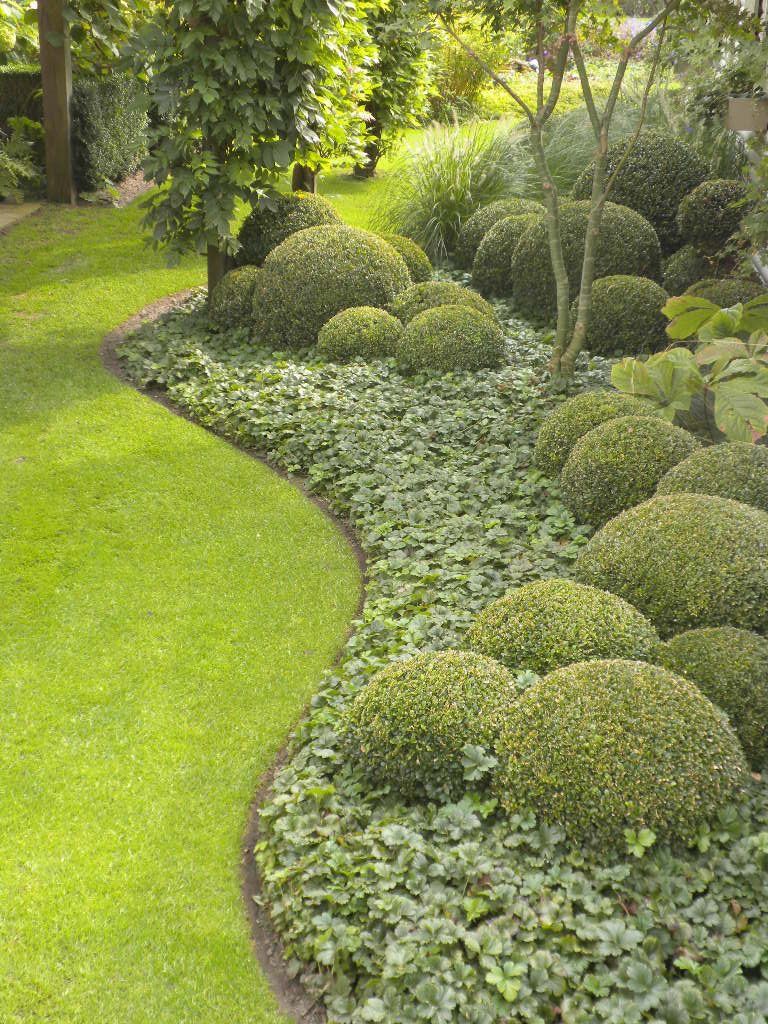Hamptons, tree shaping, maintenance boxwoods, native plantings, southampton, easthampton, sag harbor,watermill