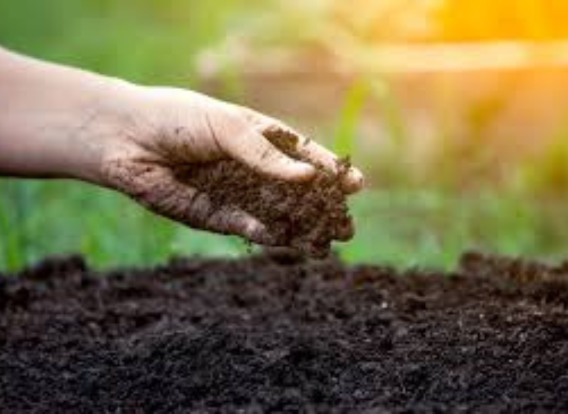 soil improvement, award winning landscaping company in the hamptons