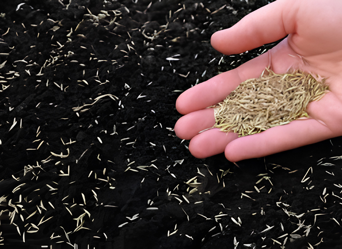 overseeding lawncare in the hamptons, award winning landscaping company with certified arborist