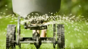overseeding in the hamptons, tick and mosquito treatment in the hamptons, creative design landscapes. east hampton, southampton, watermill