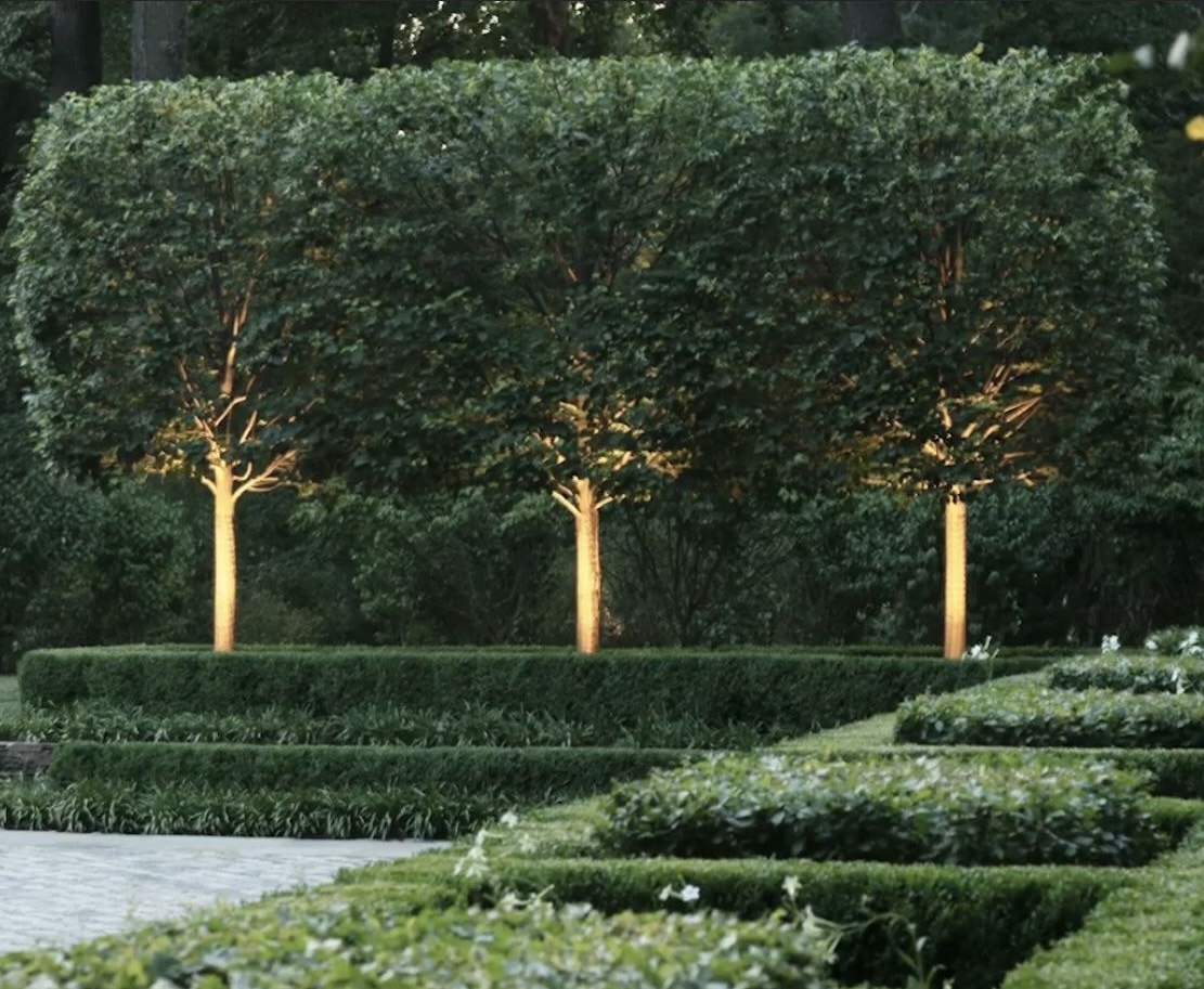 Hamptons, tree shaping, maintenance boxwoods, native plantings, southampton, easthampton, sag harbor,watermill