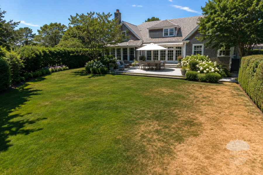 Hamptons-style backyard with manicured lawn developing dry brown areas during an intense summer heat wave, demonstrating the effects of extreme temperatures on lawn health and proper Hamptons lawn care.