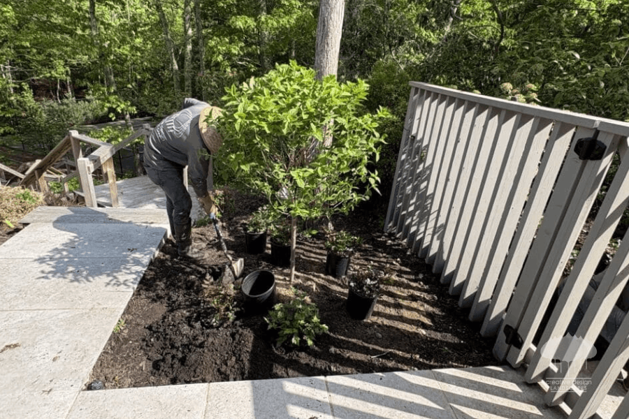 Creative design landscapes crew executing the fall privacy planting