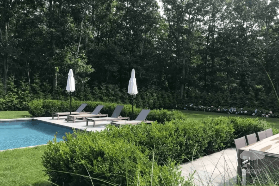 Backyard pool surrounded by manicured boxwood hedges for fall privacy planning execution.