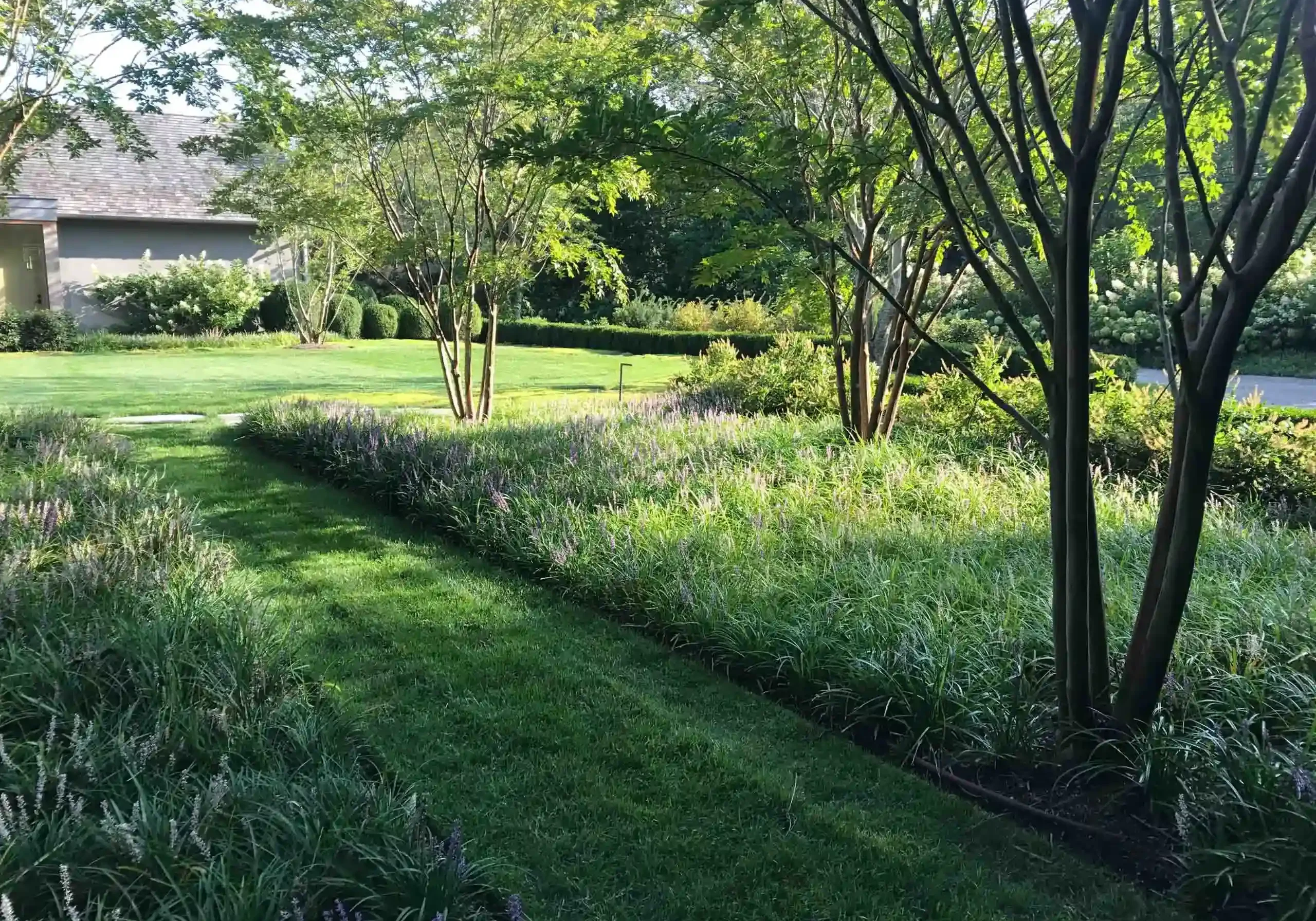 Bridgehampton, NY Native Revegetation