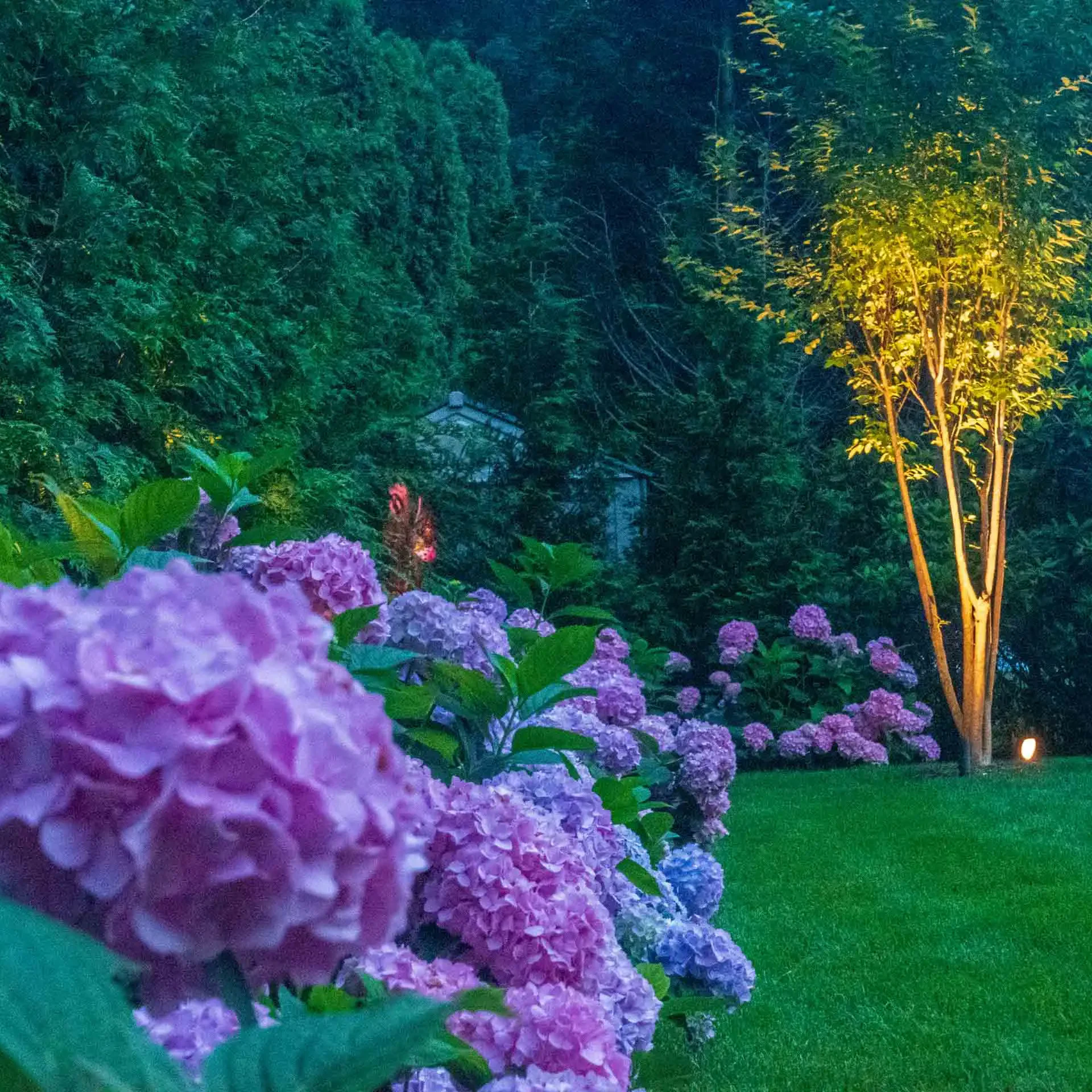 CDLNIGHT EDIT1 Tree Services Southampton, NY