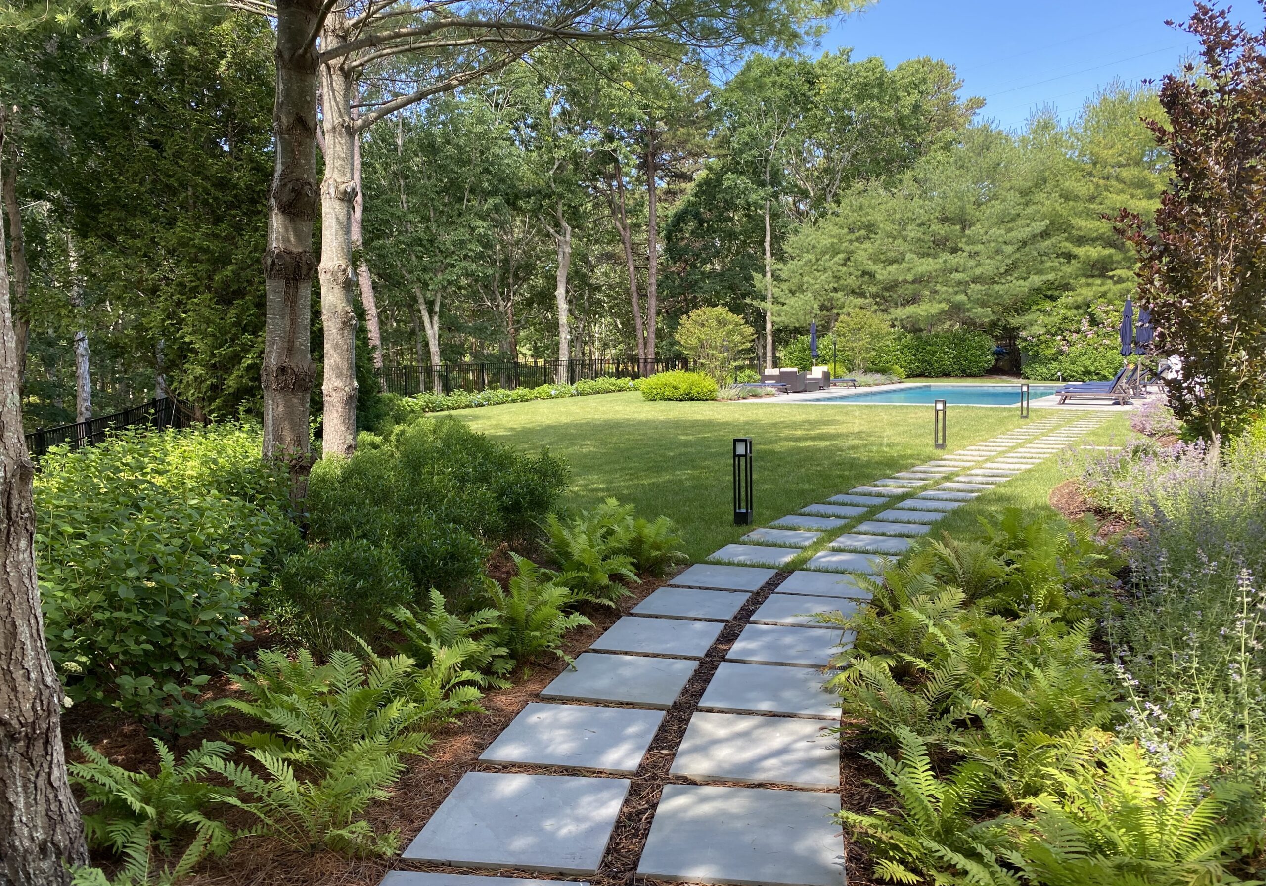 revegetation native plants long island