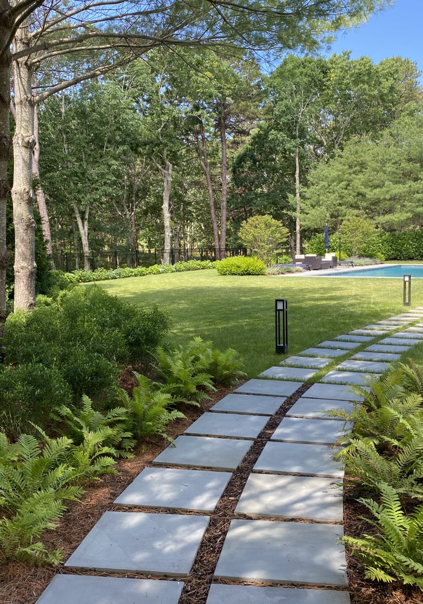 revegetation native plants long island