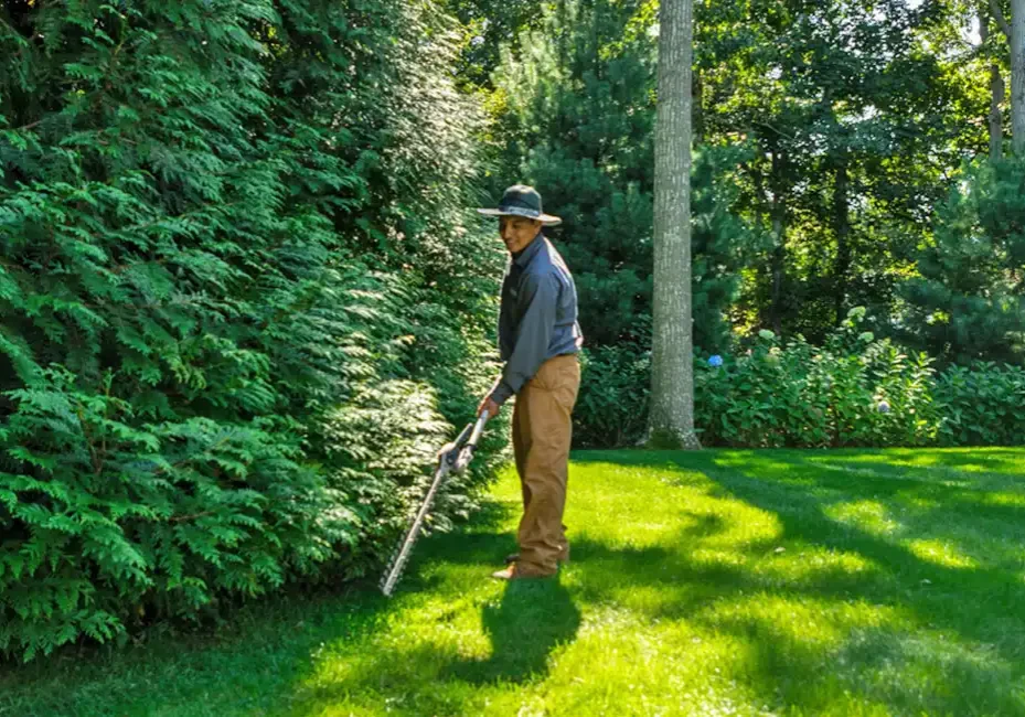 ServicesHeader ServicesHeader