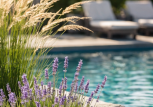 poolside landscape, poolscape, patio,deck, lounge, hamptons yard entryway, stone path. oceanview LANDSCAPE DETAILS, CREATIVE TOUCH, LANDSCAPE LIGHTING, SCREENING TREES IN THE HAMPTONS, SECURITY SERVICES, LIGHTING SERVICES, LANDSCAPE SERVICES. EASTHAMPTON, SOUTHAMPTON, WESTHAMPTON, SAG HARBOR planting seasonal coastal