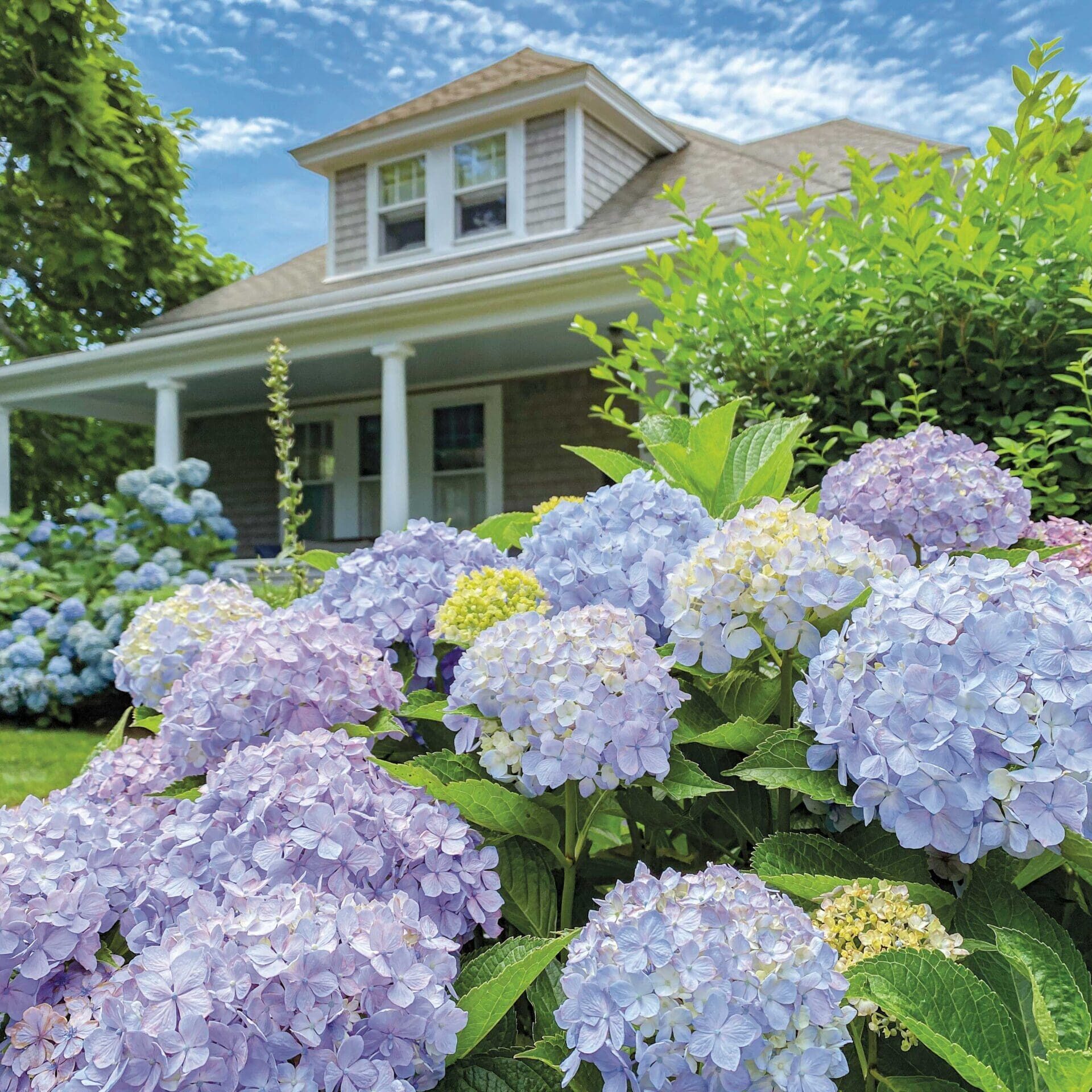 Water Mill, NY Landscaping Services Water Mill, NY Landscaping Services
